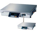 CAS PD-II Interfacing Scale